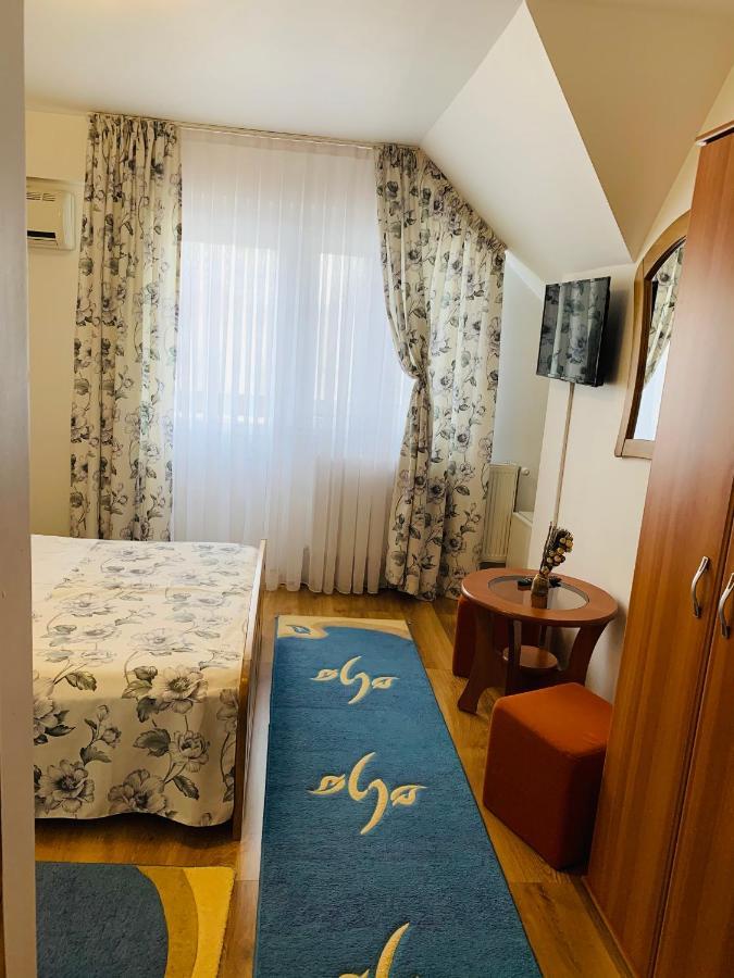 Hotel Alex & Maria Cărpinişu Zewnętrze zdjęcie