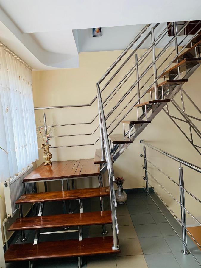 Hotel Alex & Maria Cărpinişu Zewnętrze zdjęcie
